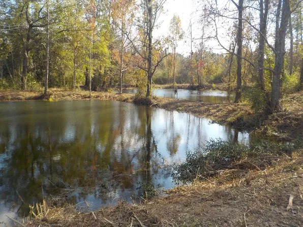 2338 D Hodge Rd, Cottonwood, AL 36320