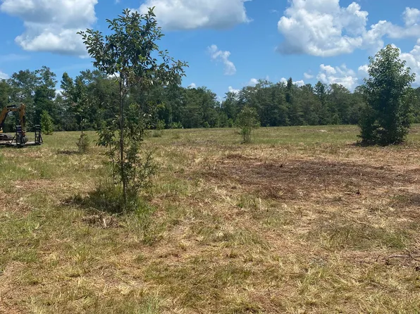 Jack Johnson Ln, Ponce De Leon, FL 32455