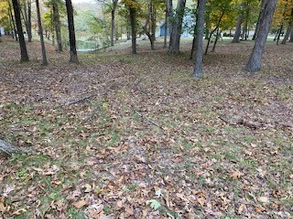 66 Beyers Lake Est, Pana, IL 62557