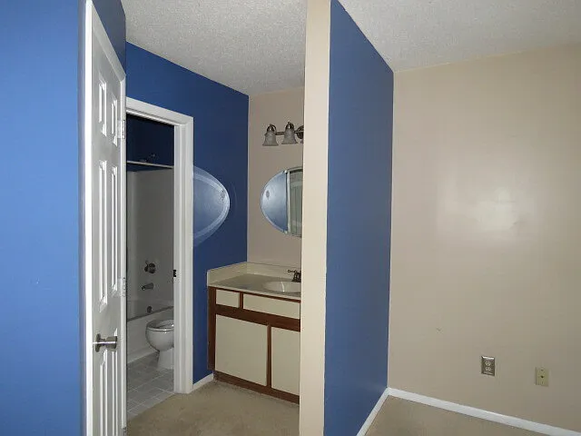 3803 Chimney Ridge Pl #3 — Photo 7