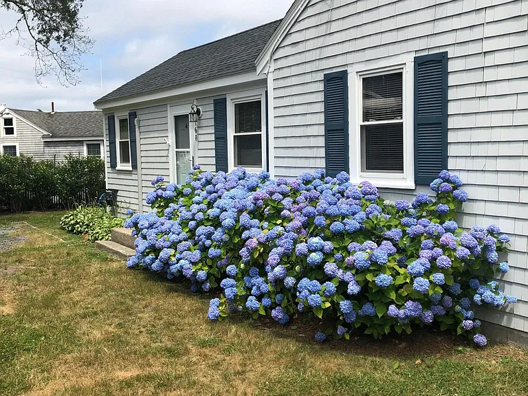 167 Clipper Rd — Photo 15