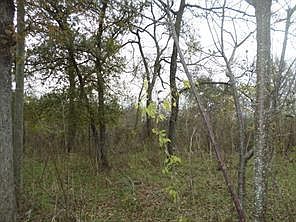 1st image of 394 Fm 112