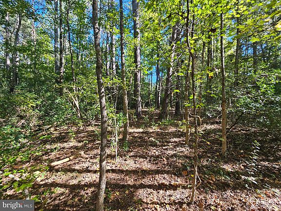 3rd image of 13922 Farmer Dr