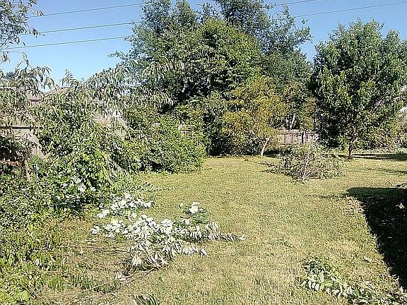Left side of yard