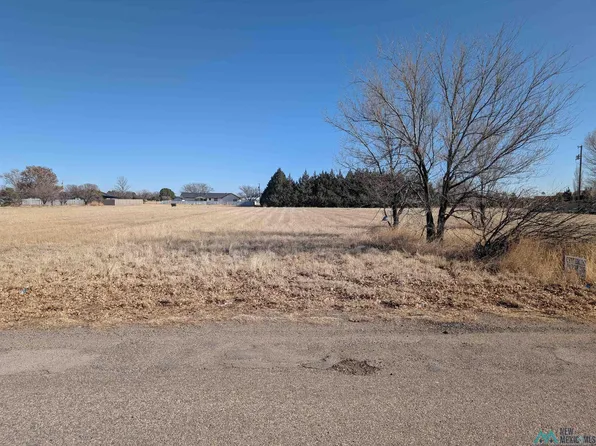 304 N Ave S, Portales, NM 88130