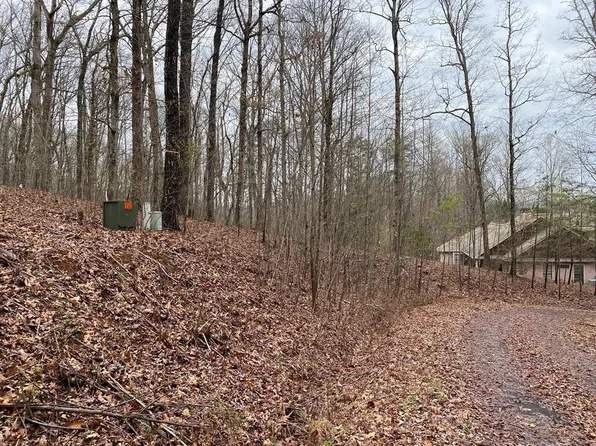 1414 Holly Ln, Hiawassee, GA 30546