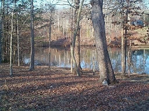 4th image of 3045 Nocatee Trce