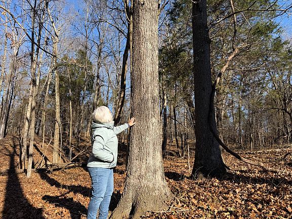 3rd image of /climer Rd