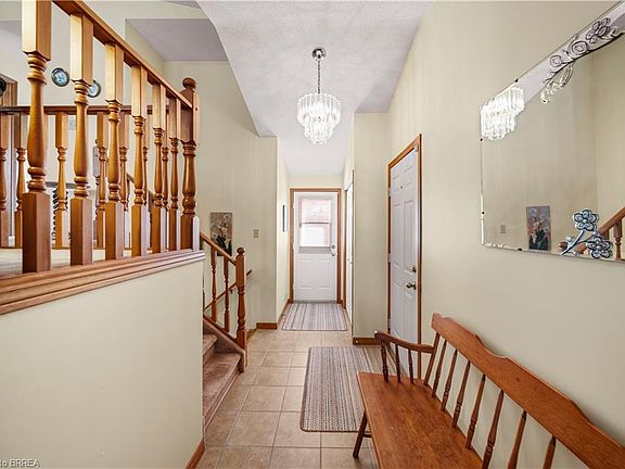 5th image of 58 Olivetree Rd