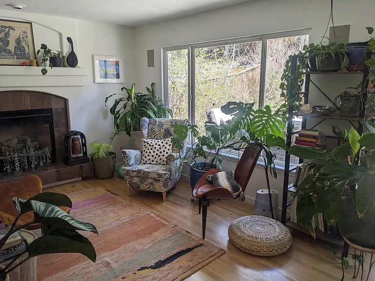 9268 Roadrunner Dr — Photo 5