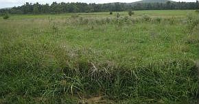 22 Acres