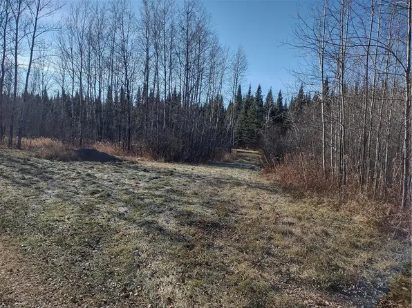 W 9793 Dankes, Phillips, WI 54555