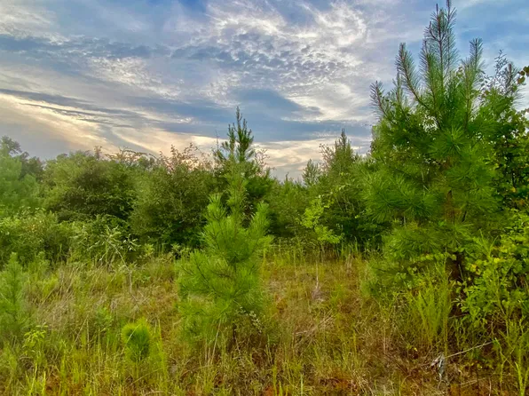 0 Sims Bridge Rd, Andalusia, AL 36421