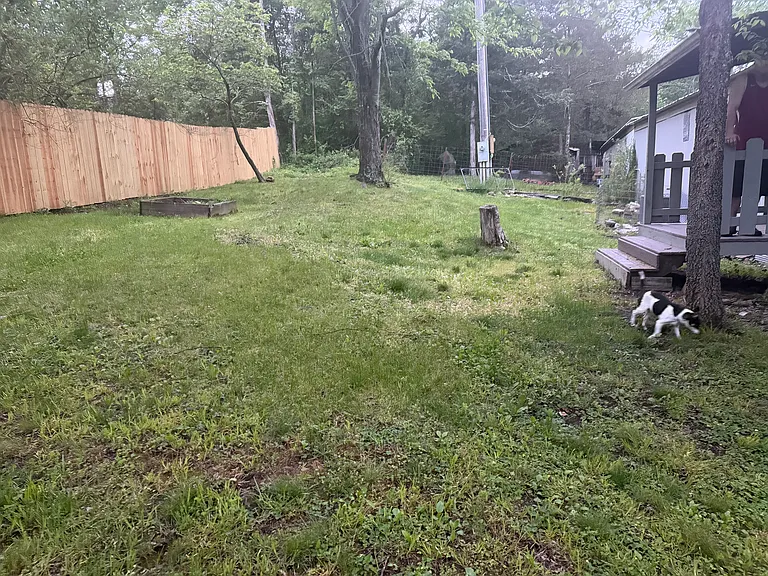 119 Rainbow Dr #119 — Photo 45