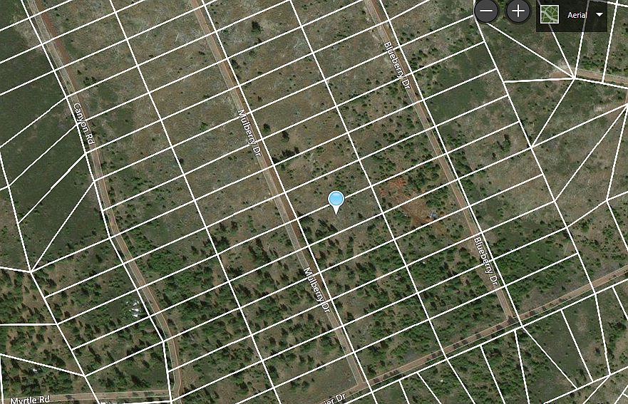 2nd image of Mulberry Dr