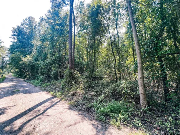 County Road 2220, Pittsburg, TX 75686