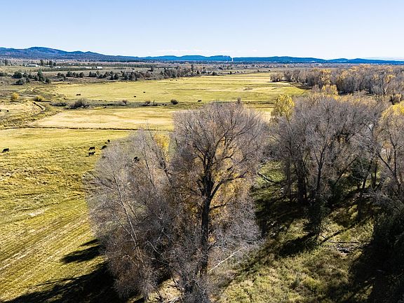 4th image of 16853 Us Highway 84 #64