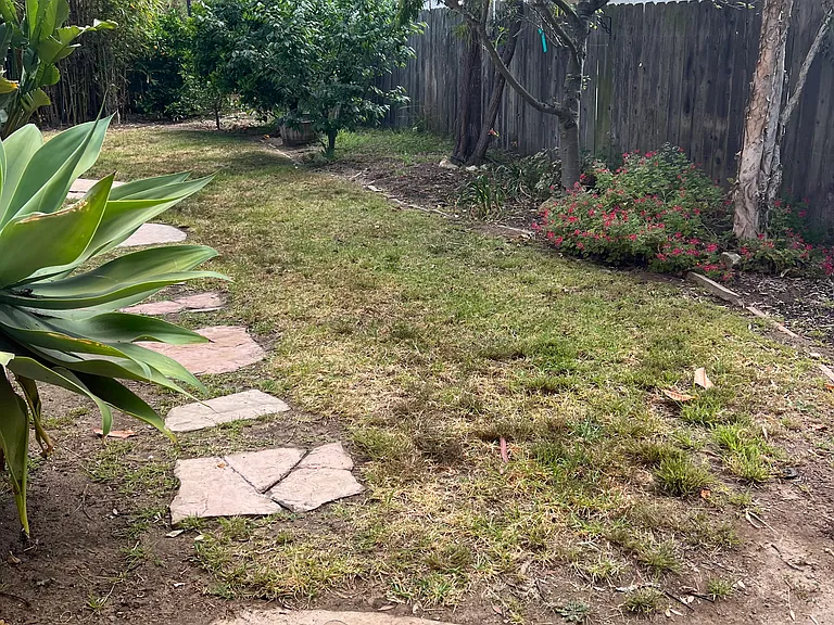 245 Hazel Ln #A — Photo 18