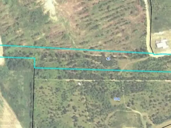 43 McAnally Rd, Hawkinsville, GA 31036