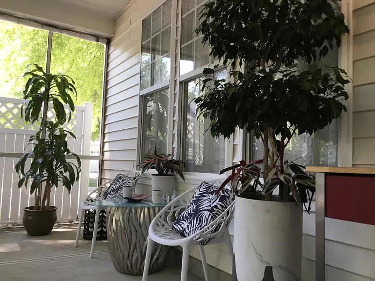 Screen Porch