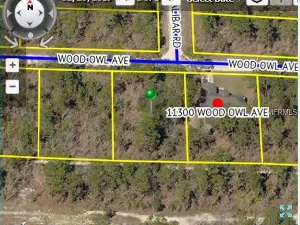 11290 Wood Owl Ave, Weeki Wachee, FL 34614
