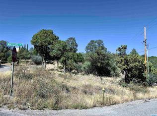 Xx Ne Swan, Silver City, NM 88061