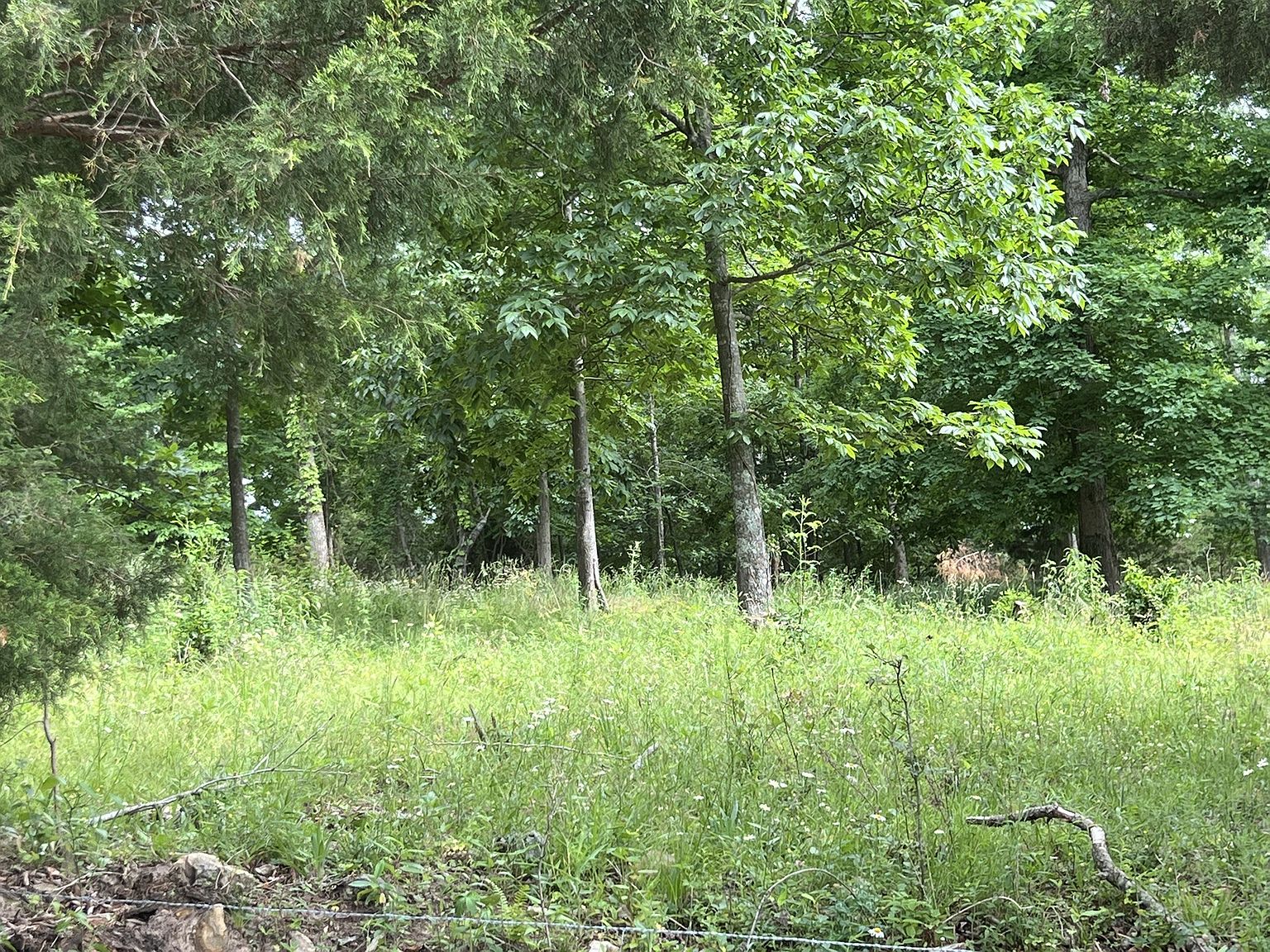 0 George Durham Rd Lot 2, Westmoreland, TN 37186 | MLS #3223527 | Zillow