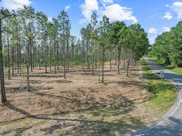 Nhn Ramsey Rd Lot 7, Saucier, MS 39574