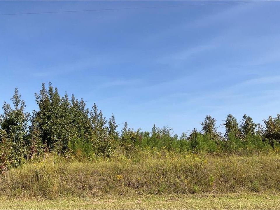 2nd image of 0 Old Balls Ferry Rd #1