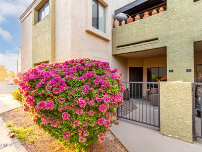 4201 N 20th St UNIT 115, Phoenix, AZ, 85016