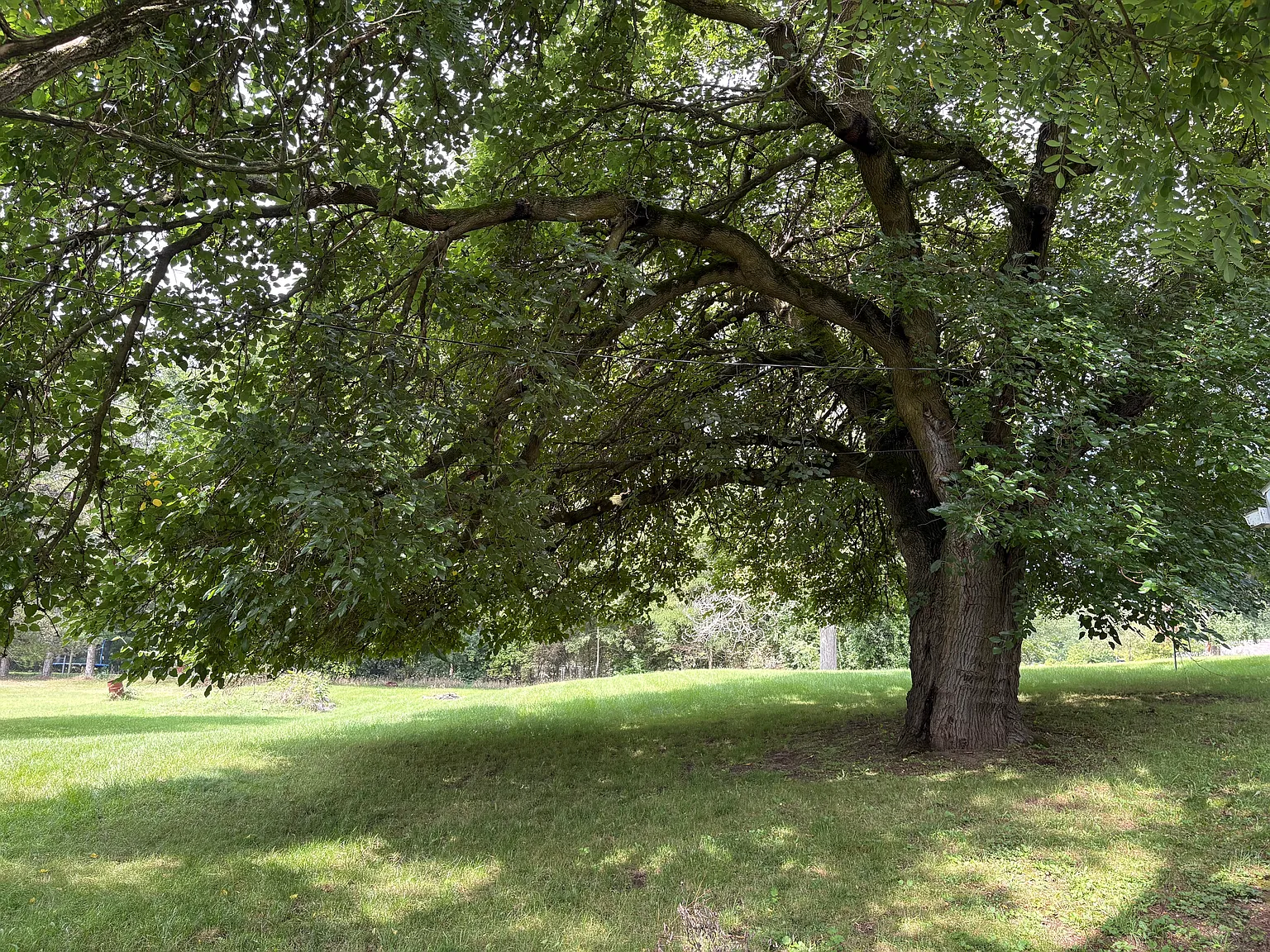 1 bed, 600 sqft, $950 — Photo 3