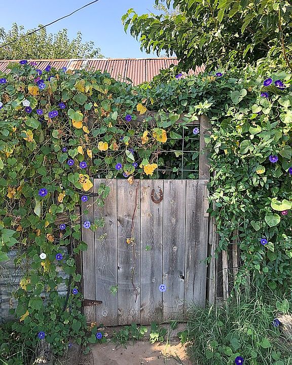 311 Nevada Ave, Valentine, TX 79854 Zillow