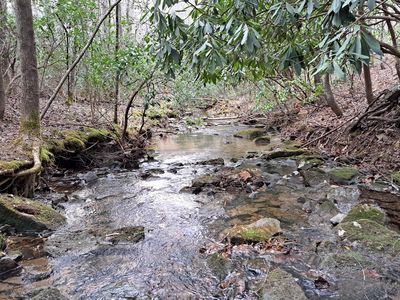 Airport Road Pca Lot 16, Rockwood, TN, 37854