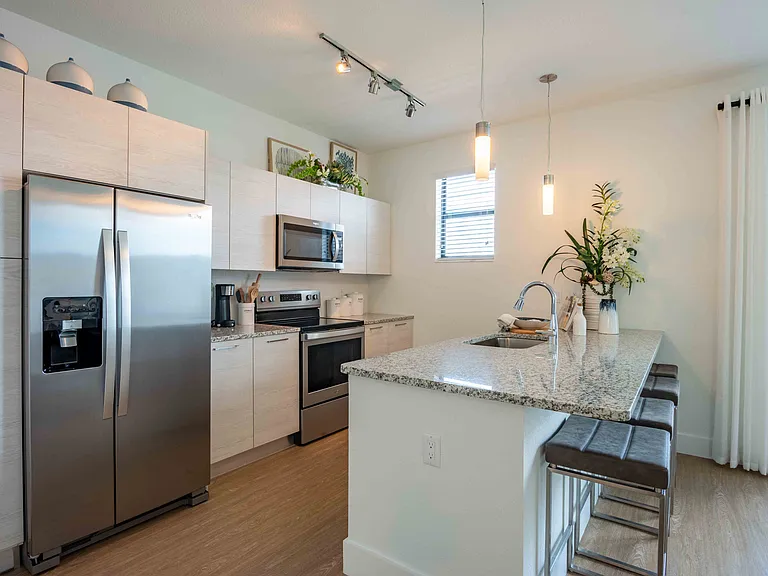 Stainless Steel Appliances and Stylish Lighting