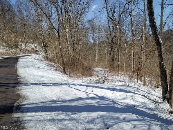 0 Miltonsburg Calais Rd Tract 11, Woodsfield, OH 43793