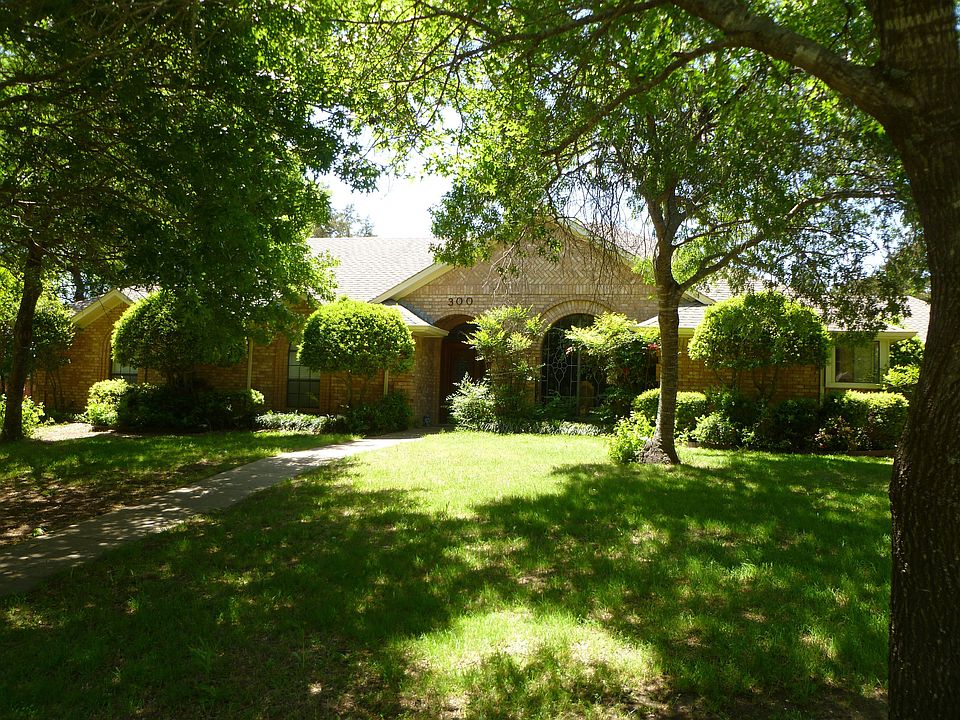 Huge Shade Trees
