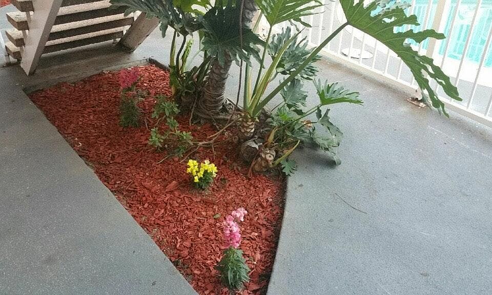 2nd image of 4050 W El Segundo Blvd APT 6