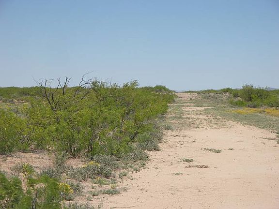 Looking North