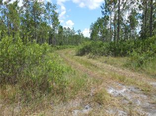 State Rd #40, Pierson, FL 32180
