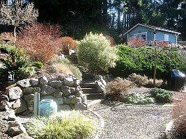 backyard landscaping - Underground Sprinkler System back here AND out front!