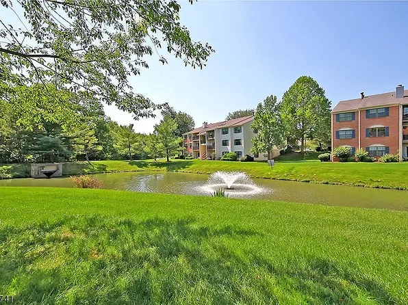 115 Irving Pl, Basking Ridge, NJ 07920