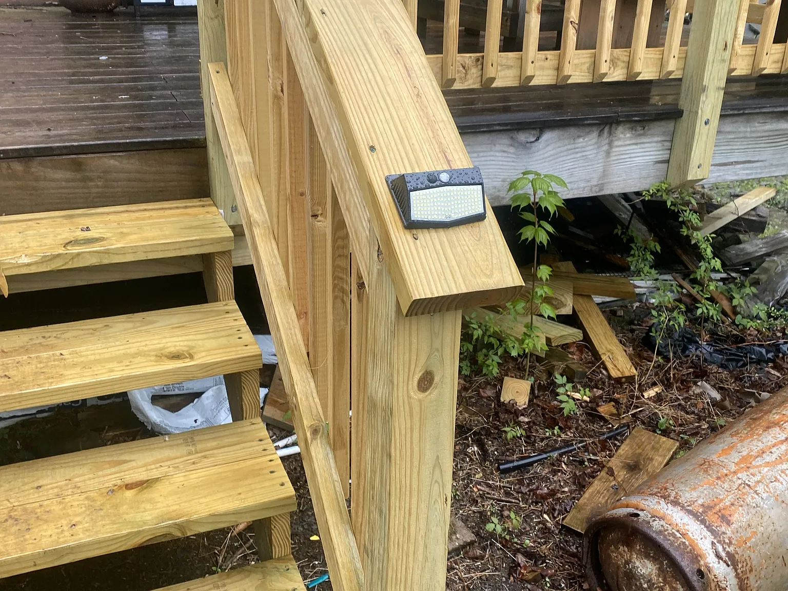 1 bed, 600 sqft, $235 — Photo 2
