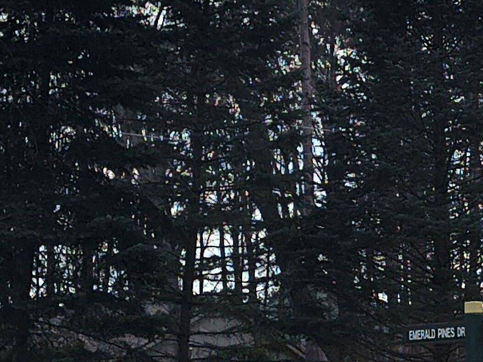 2nd image of 4031 Emerald Pines Dr