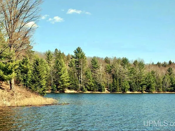 0 Ponozzo Rd, Iron River, MI 49935