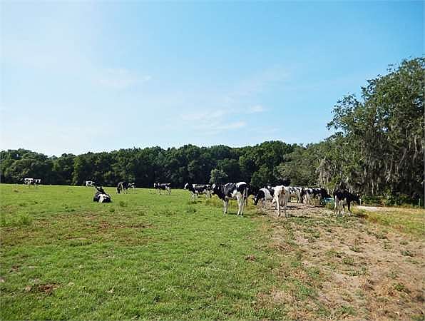 2nd image of 4929 SE County Road 232