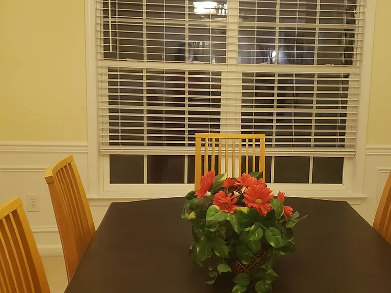 7720 Raynor Rd — Photo 43