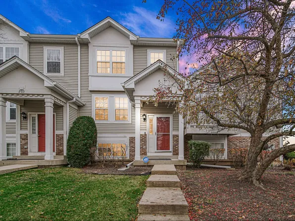 202 Holiday Ln, Round Lake, IL 60073