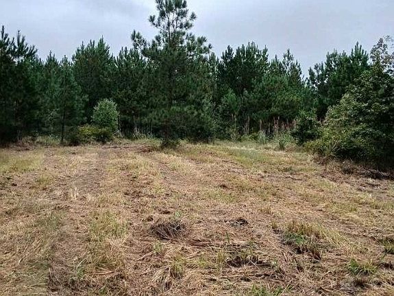 3rd image of 6-72A Ridge Rd