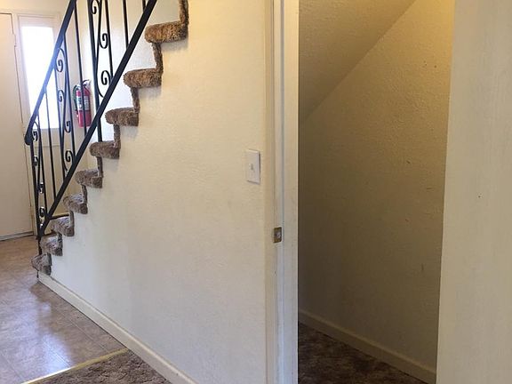 Closet Under Stairs