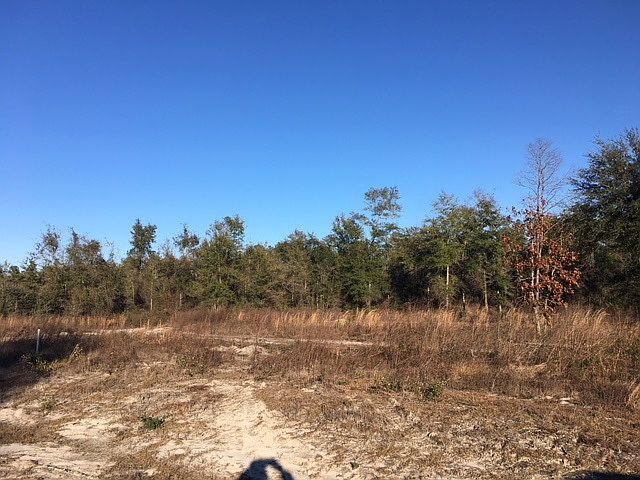 1st image of Scenic Stream Cir